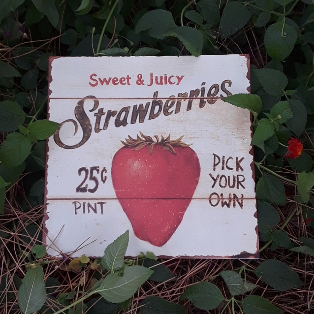 HP 🍄 farmhouse Metal strawberries sign